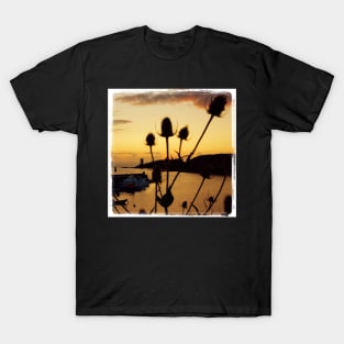 Le Conquet - Les chardons T-Shirt